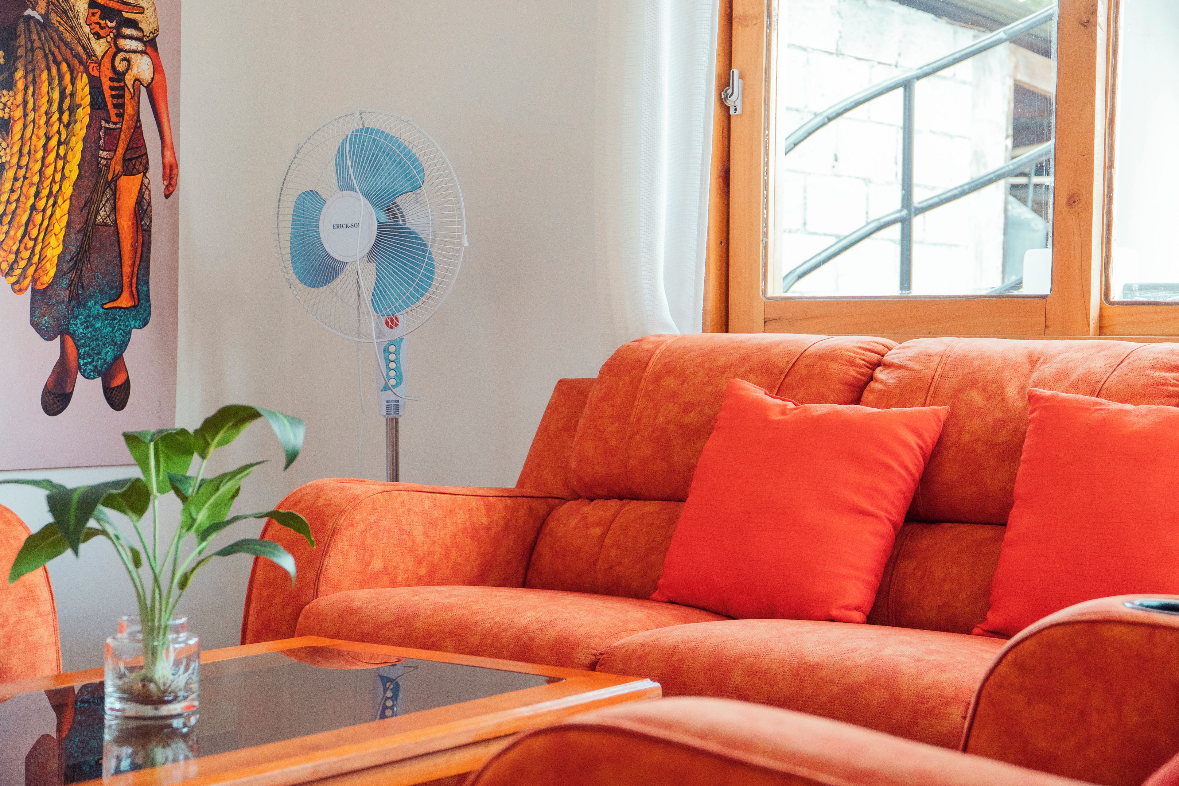 Une pièce avec un canapé, un ventilateur, une fenêtre et une plante.