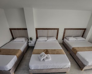Deluxe Triple Room, City View | Individually decorated, individually furnished, free WiFi