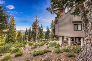 Property grounds - Stylish 2BD in Carnelian Bay (Carnelian Bay)