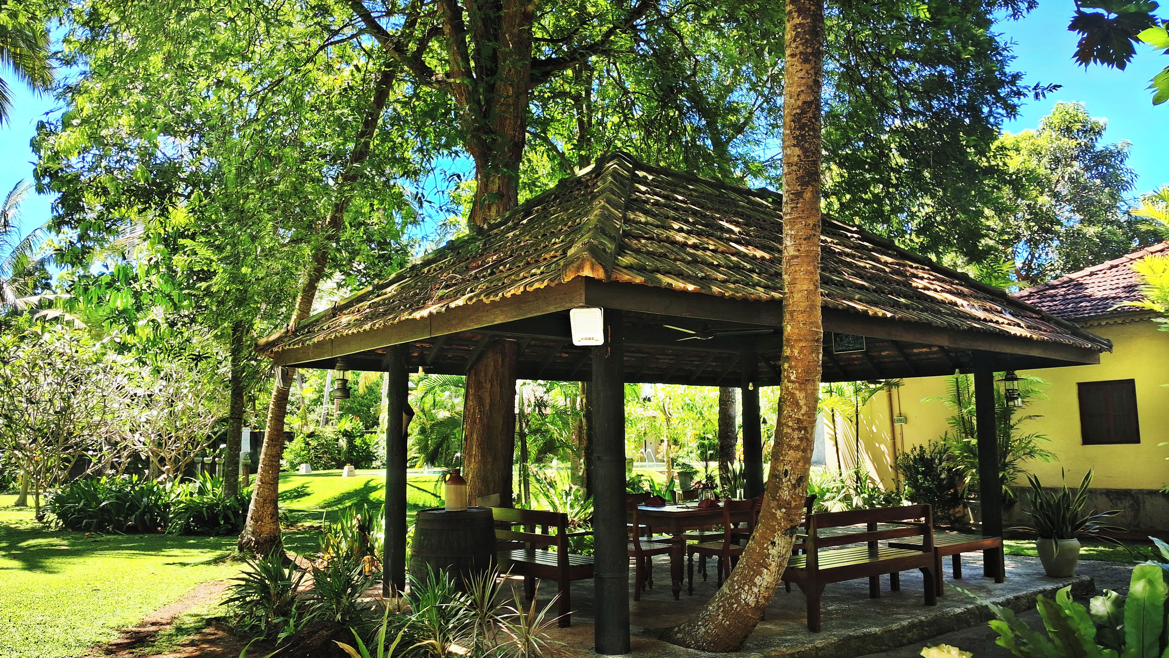 A covered outdoor seating area with benches, surrounded by lush greenery and trees.