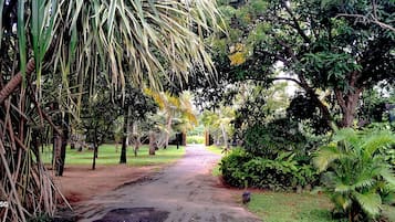 Jardín