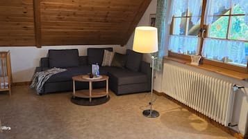 Fernseher, Stereoanlage