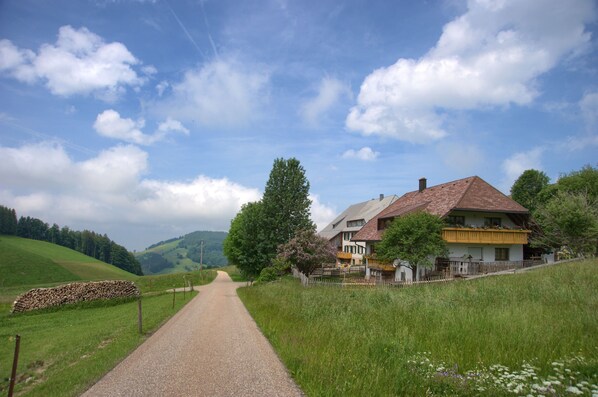 Eine Landstraße führt zu einem Haus mit einem geneigten Dach, umgeben von viel Grün und einer Steinmauer.