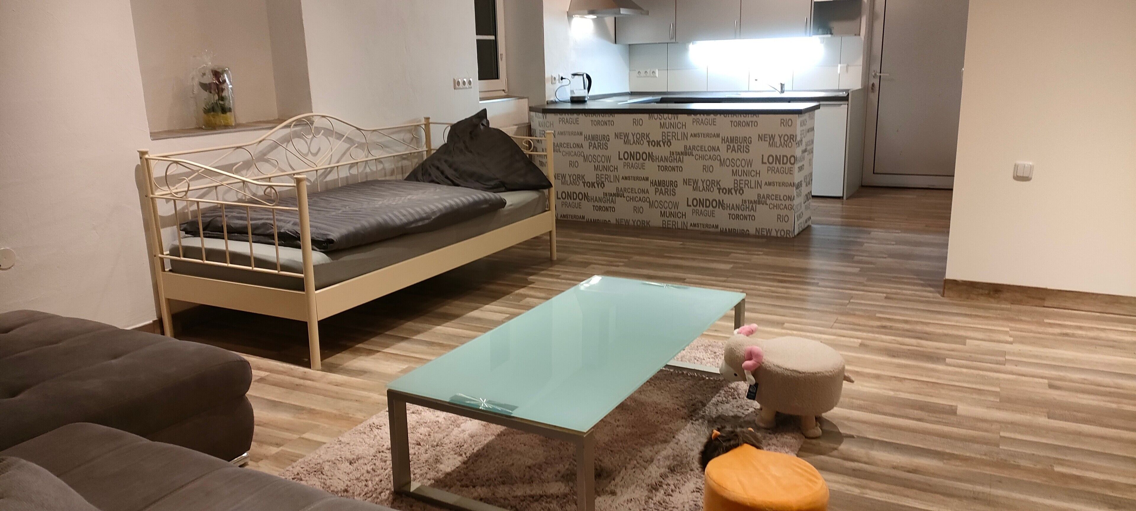 A bedroom with a metal bed frame, a glass coffee table, a sofa, a cat tree, and a kitchenette in the background.