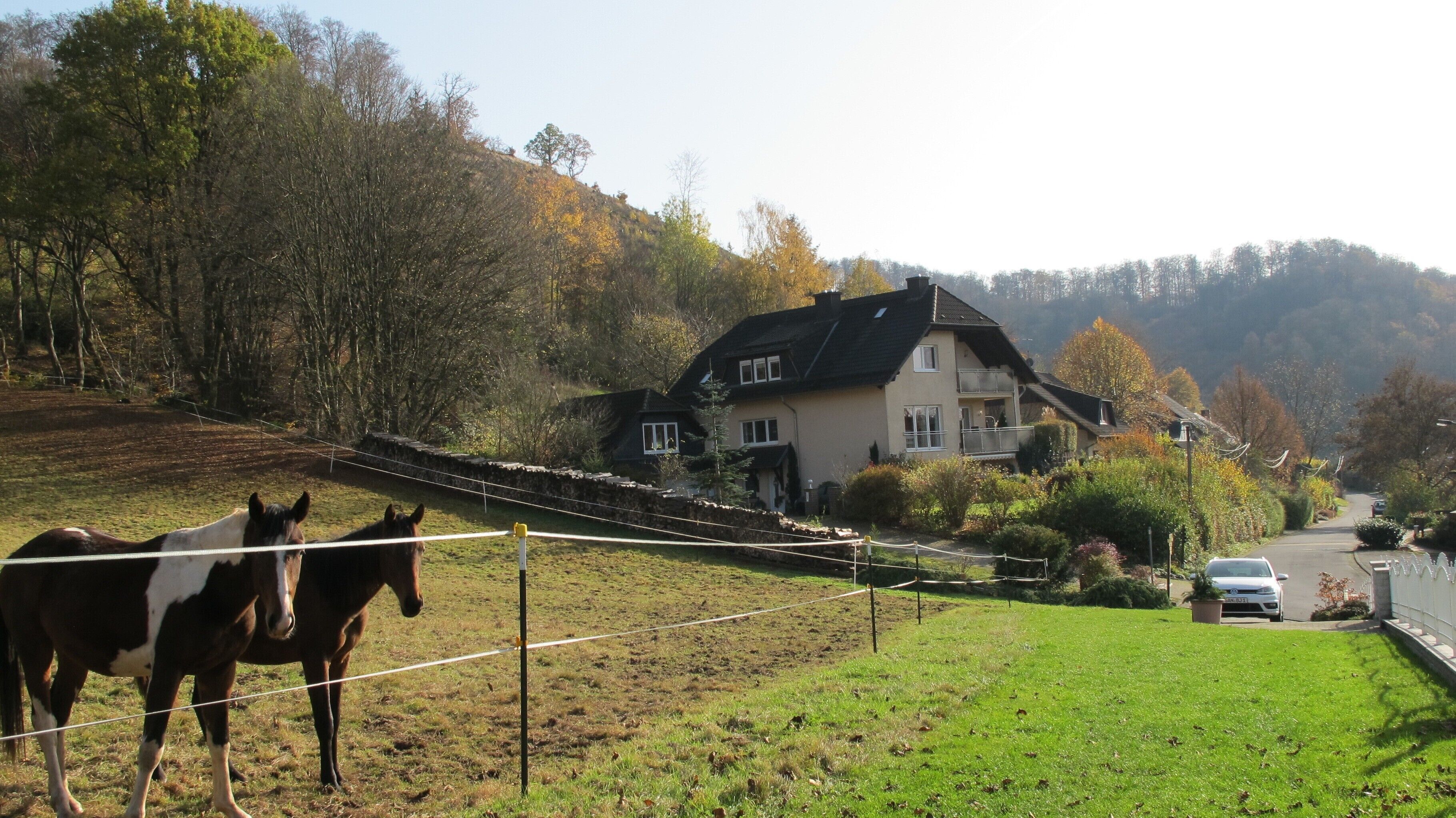 A rural house with a fenced yard, a road with a parked car, and trees in the background.