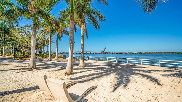 Una playa arenosa con palmeras y un banco de hormigón.