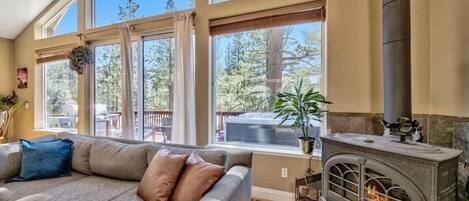 Smart TV, fireplace, video games, DVD player