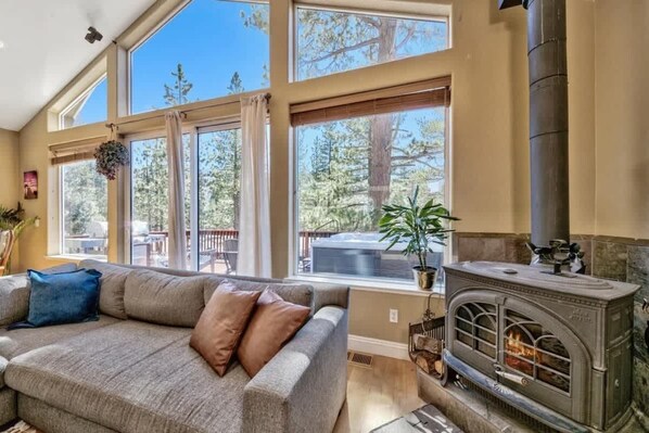 Smart TV, fireplace, video games, DVD player
