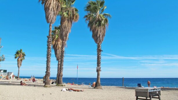Une plage bordée de palmiers, avec un filet de volley-ball et une tour de surveillance pour les sauveteurs.