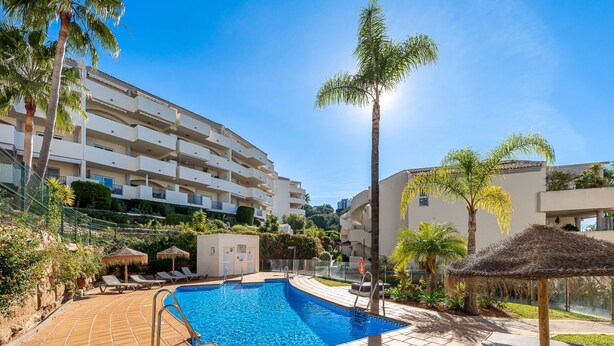Ein Swimmingpool mit Liegestühlen und Sonnenschirmen, umgeben von Palmen und einem mehrstöckigen Gebäude.