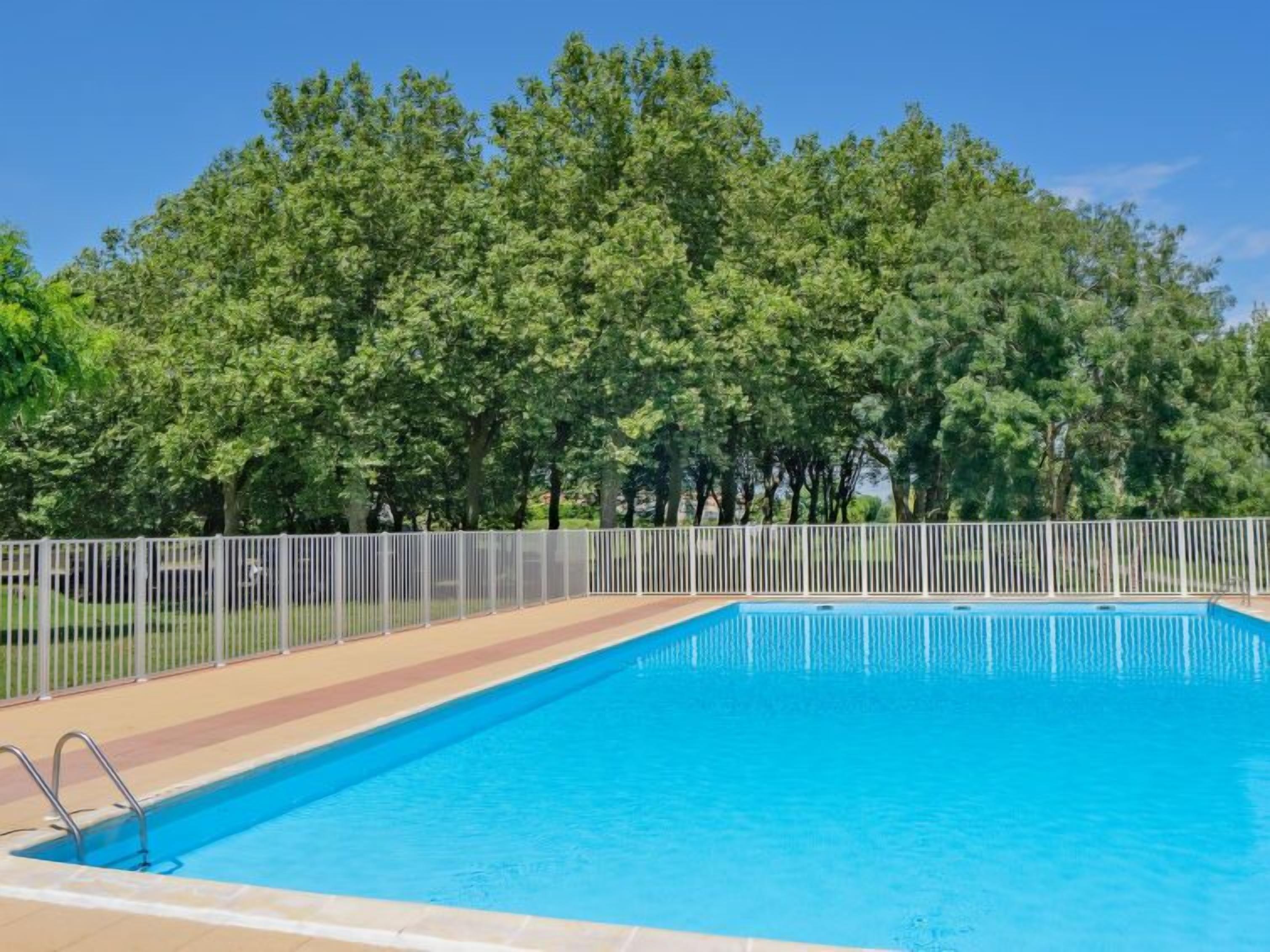 Une piscine rectangulaire entourée d’une clôture blanche, avec en arrière-plan une dense forêt verdoyante.