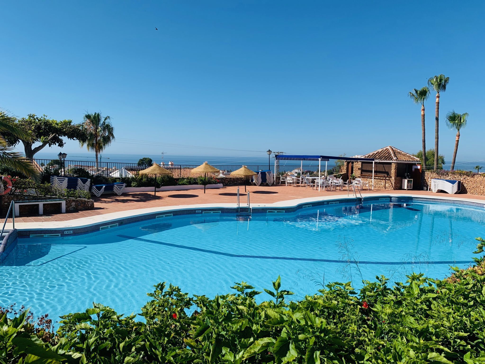 A clear blue swimming pool with a curved edge, surrounded by lounge chairs and umbrellas, with a view of the ocean and palm trees in the background.