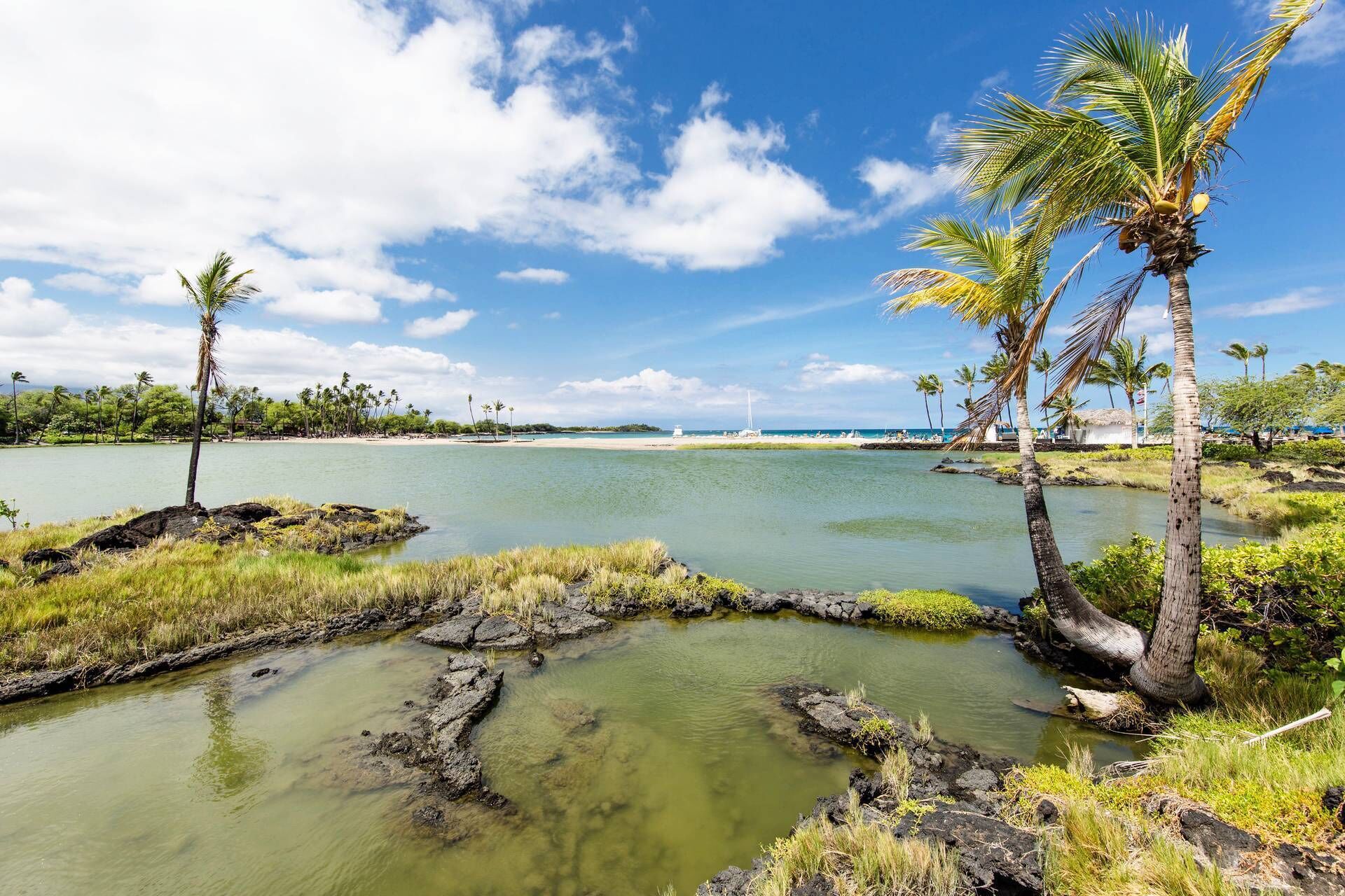 A coastal landscape with a calm lake, palm trees, and a distant sailboat.