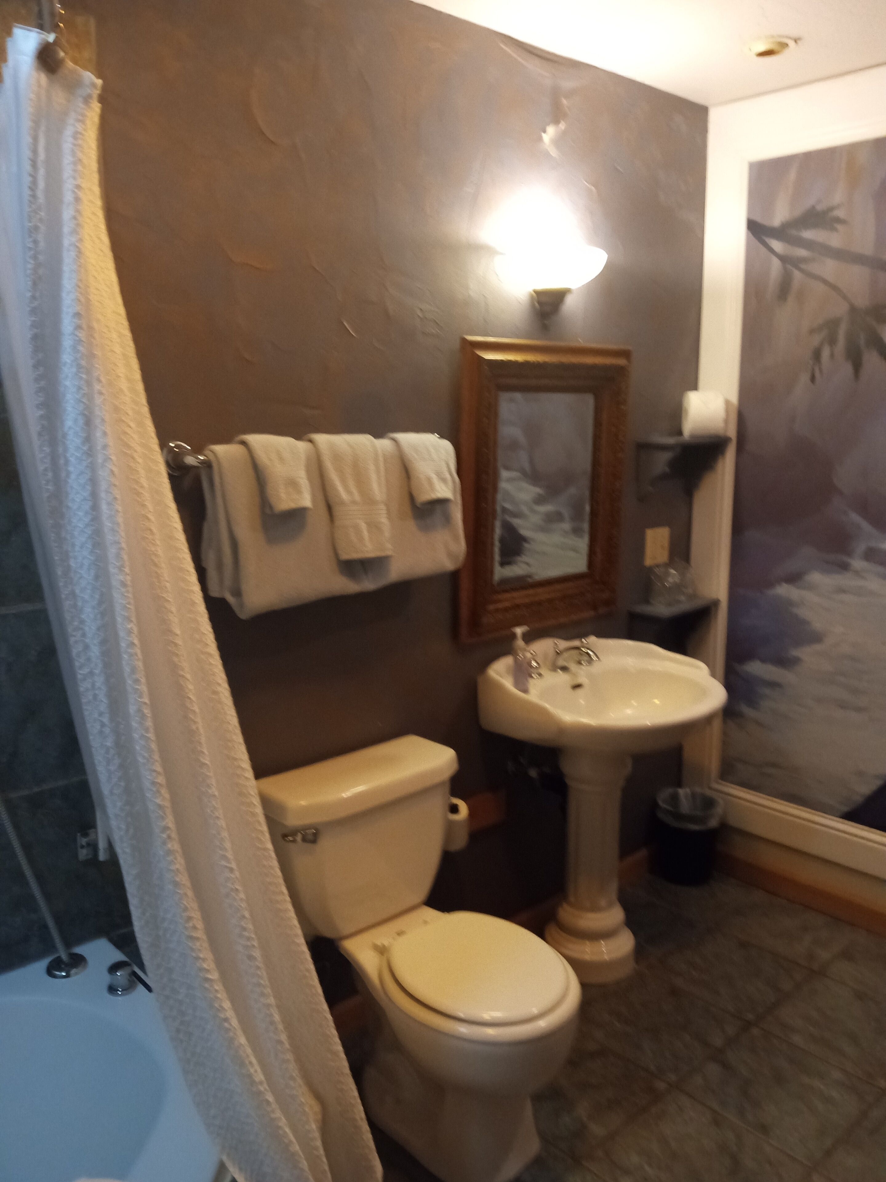 Un baño con inodoro, lavabo y espejo con marco.