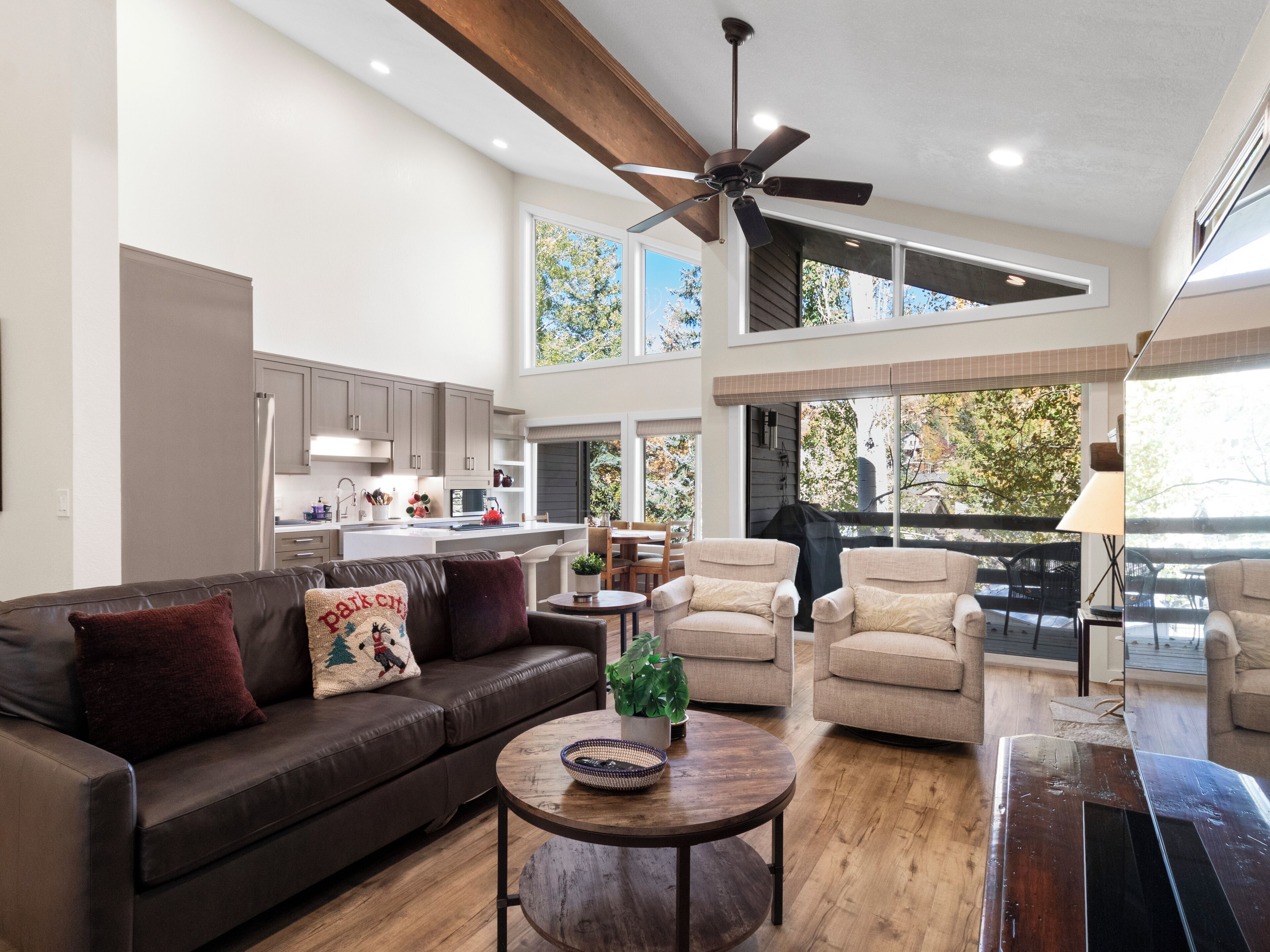 Smart TV, fireplace, DVD player, books