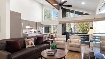 Smart TV, fireplace, DVD player, books