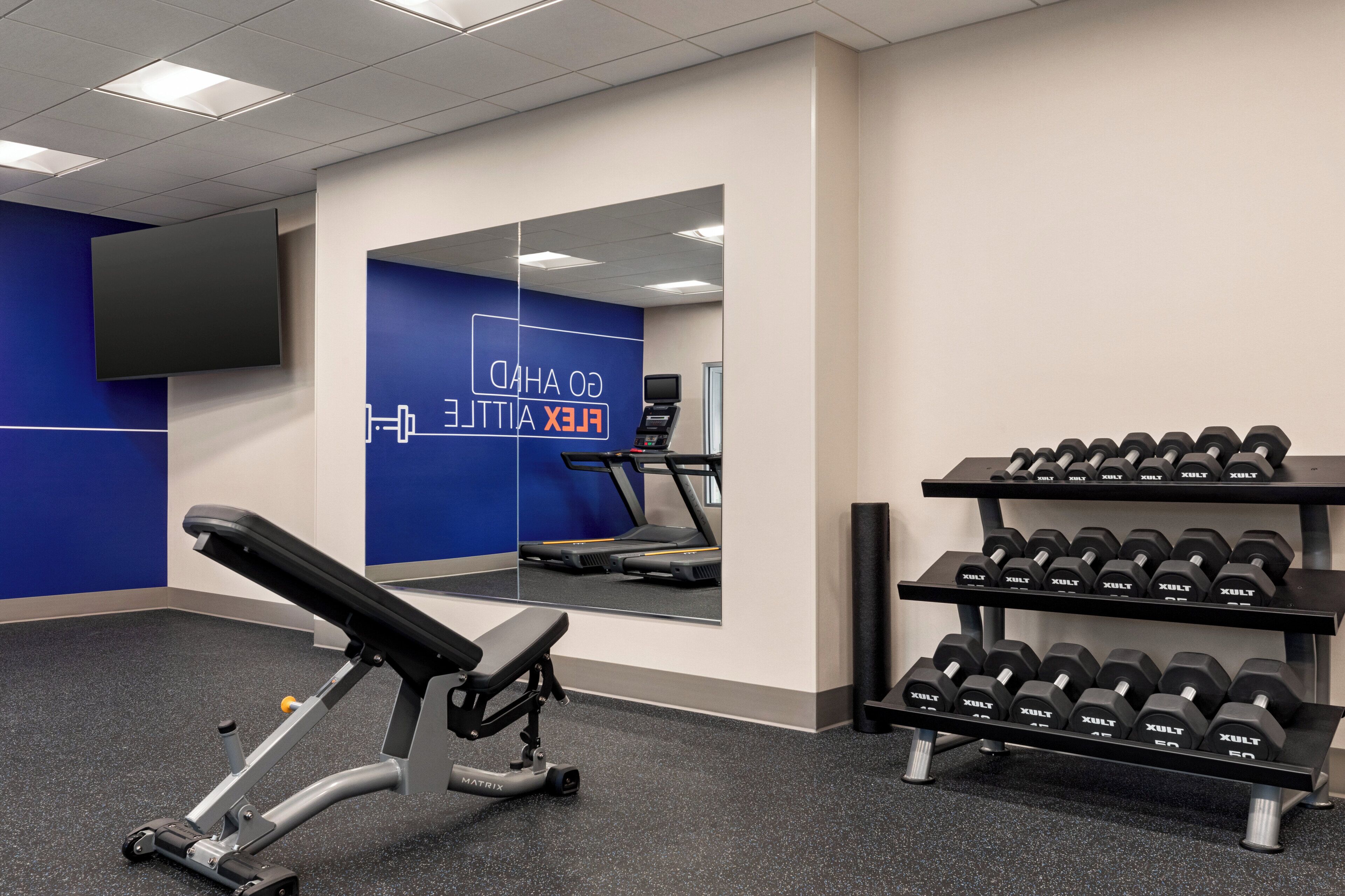 A gym with a bench press, dumbbells, a treadmill, and a mirror.