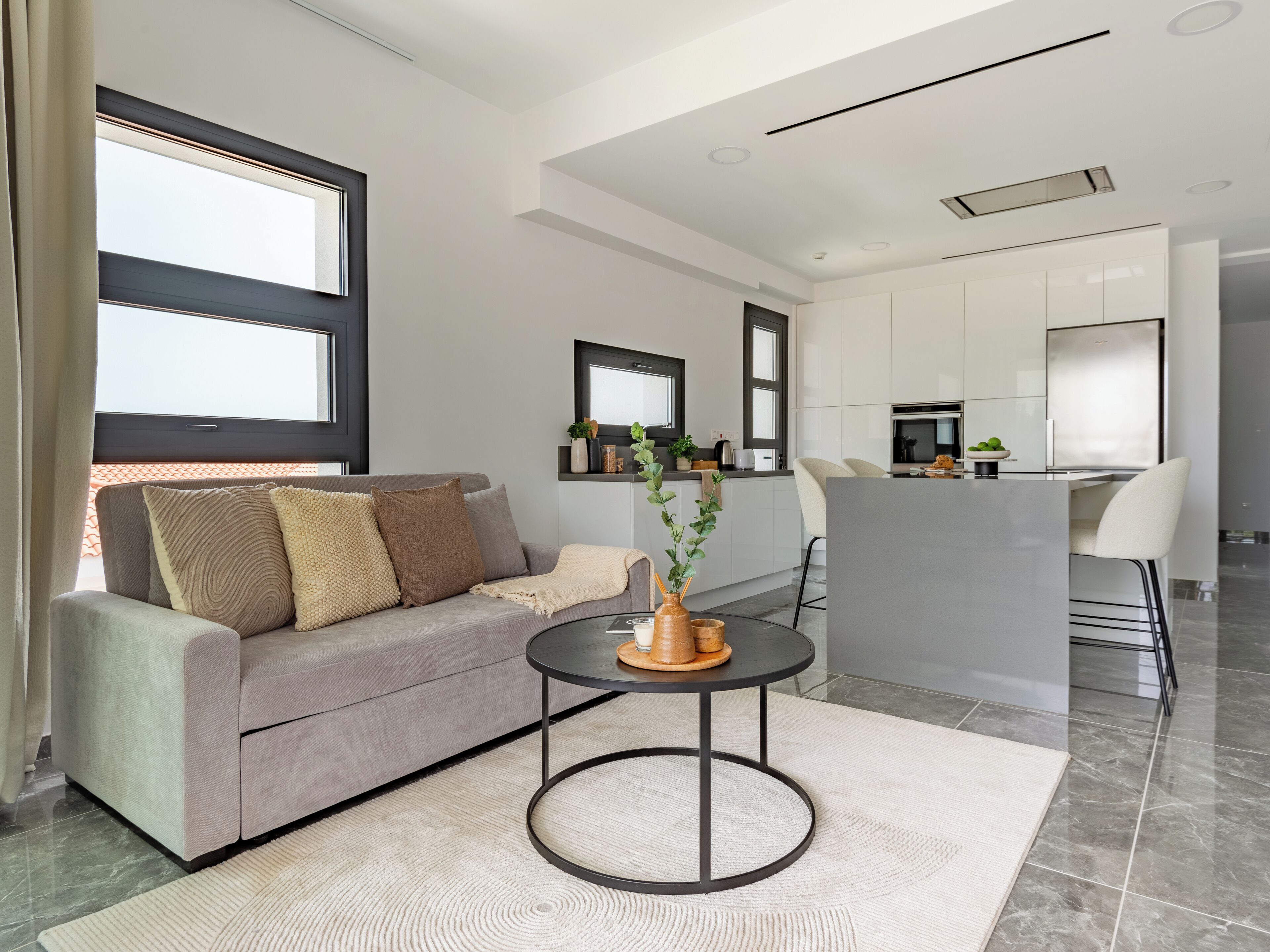 A modern living room with a grey sofa, a round black coffee table, and a small plant.