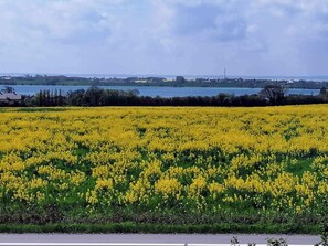 Image sans description, 5 de 27, bouton