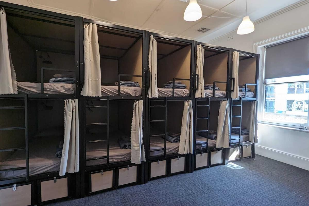 A dormitory room with bunk beds, a window, and a carpeted floor.