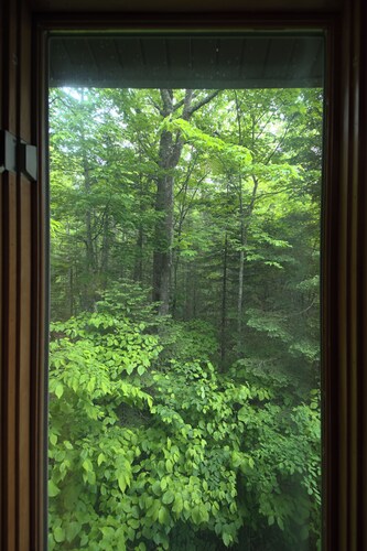 Woodland Lodging | 5 minutes to Downtown Bayfield