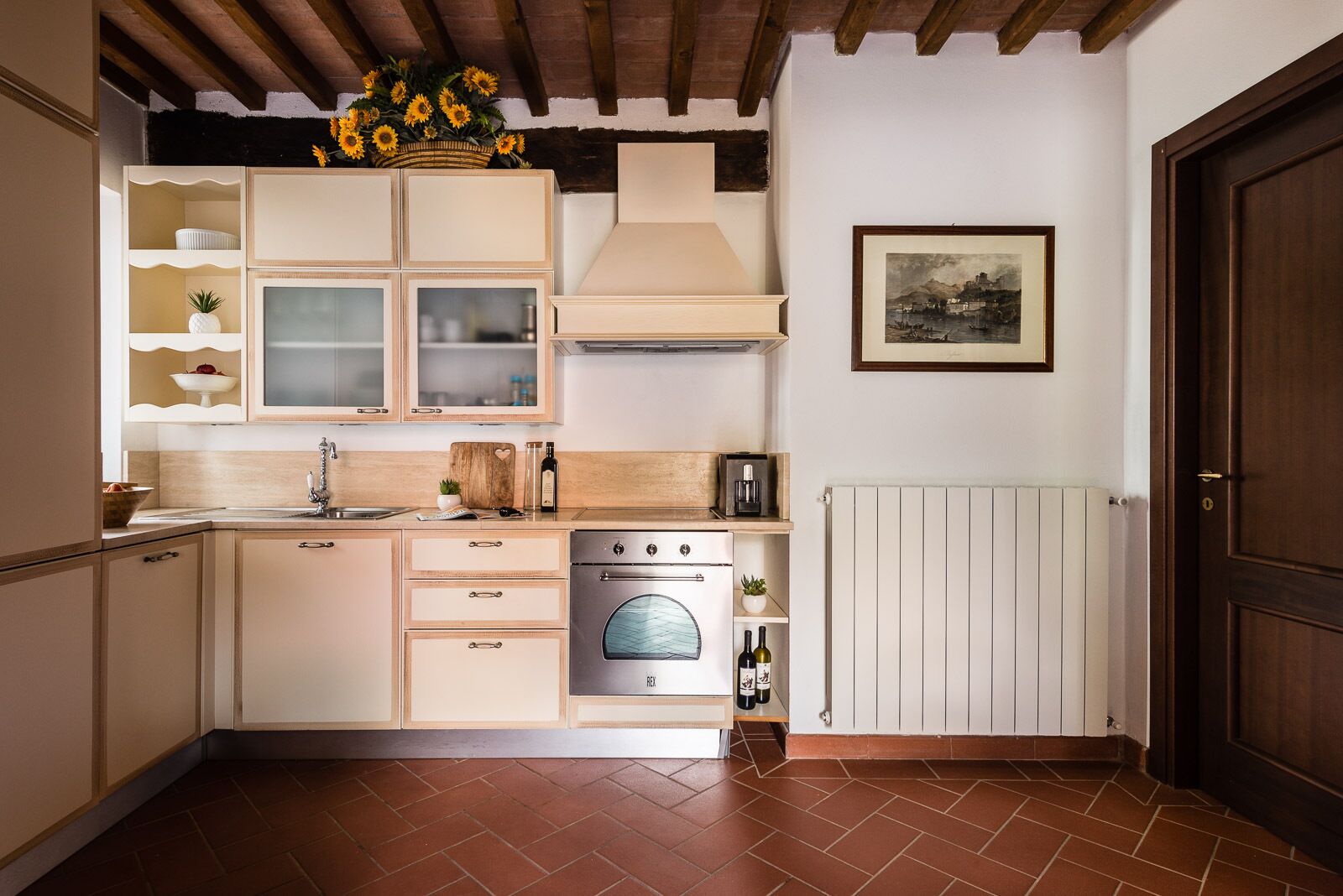 Uma cozinha com forno embutido, pia e radiador.