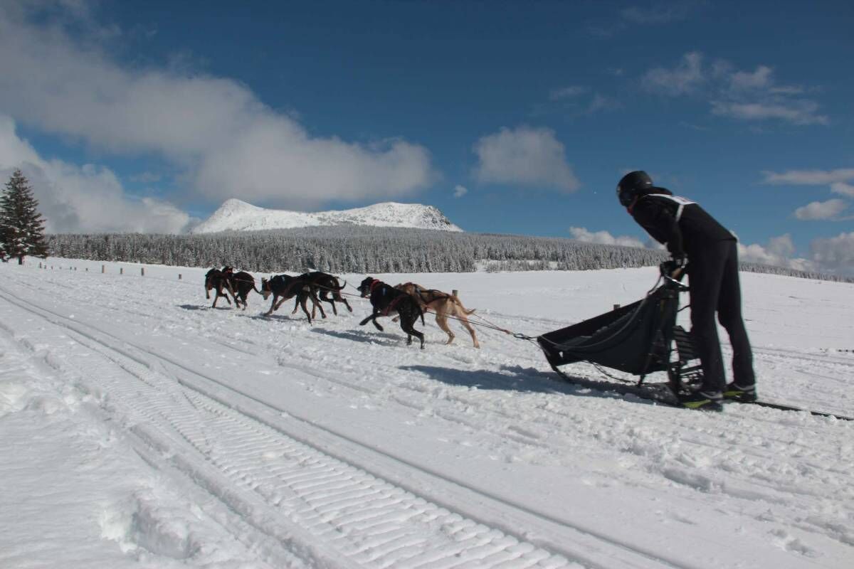 Paesaggio innevato con una persona che guida un team di cani che traina una slitta.