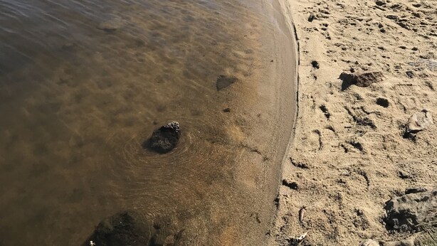 Een zandstrand met helder water, iemand aan het vissen, en een bos op de achtergrond.