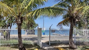 A gated entrance with palm trees, a clear sky, and a view of the sea.