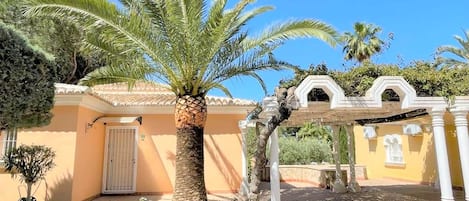 A building with a palm tree in the foreground, a covered patio area, and a door with a gate.
