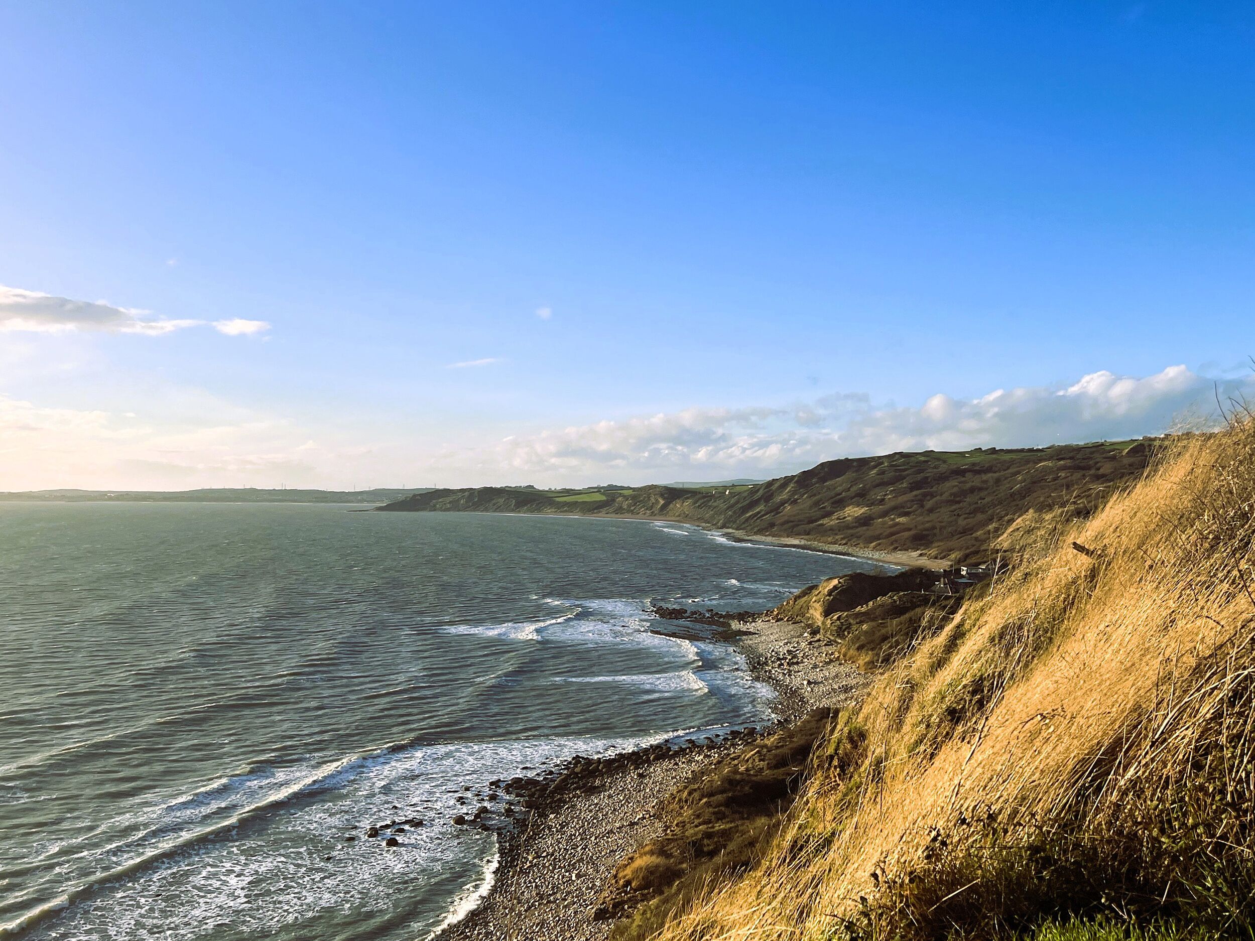 A coastal landscape with a rocky shoreline, grassy cliffs, and a clear blue sky.