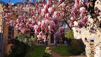 Overnatningsstedets område