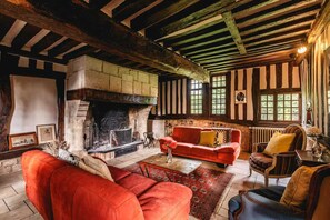 TV connectée, cheminée, jeux vidéo, lecteur de DVD