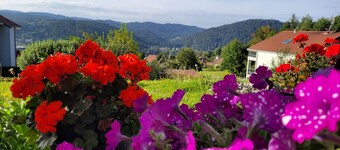 Appartement à la Montagne Avec vue sur le lac et les Pistes de ski