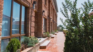 A brick building with large windows and a pathway lined with plants. - My Georgian village (Sagarejo)