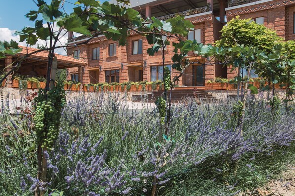 Front of property - My Georgian village (Sagarejo)