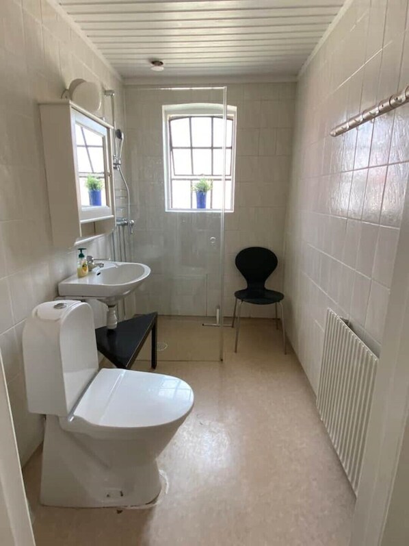 Shower, toilet paper