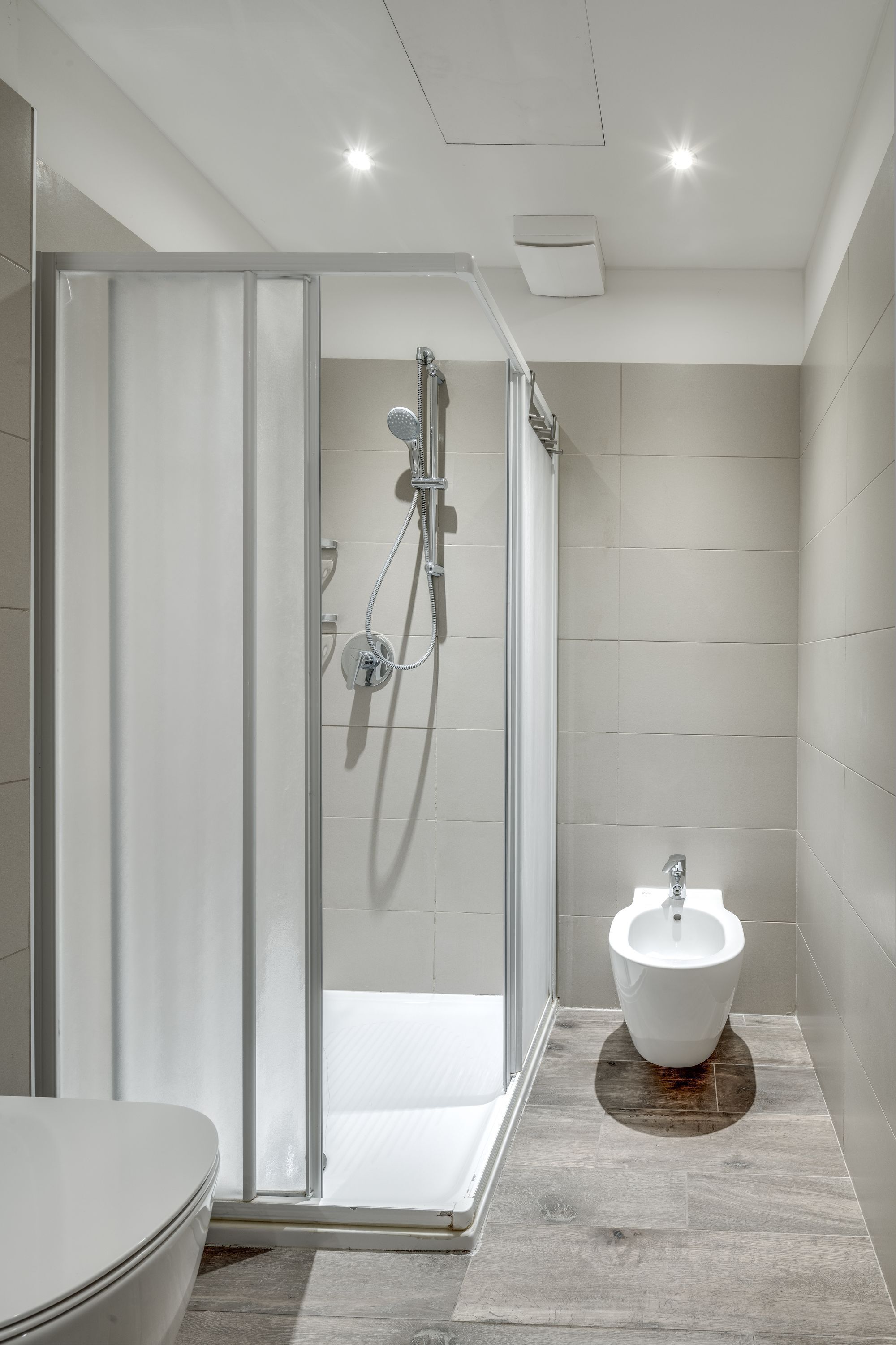 Shower, hair dryer, bidet, towels