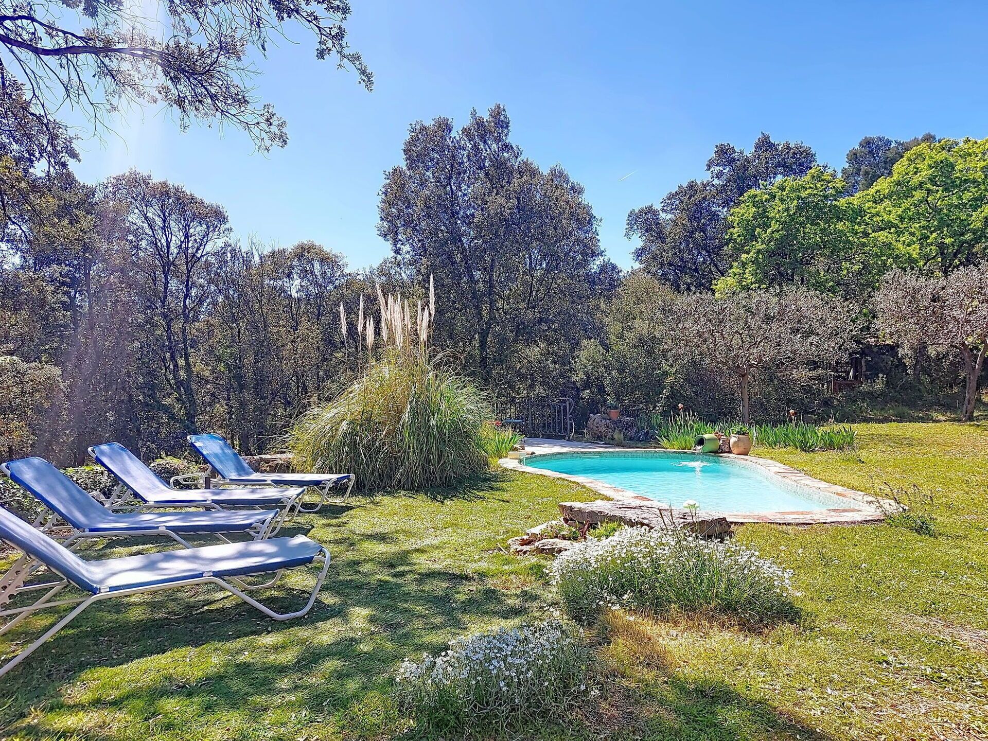 Un patio trasero con piscina, sillones de descanso y una variedad de árboles y arbustos.