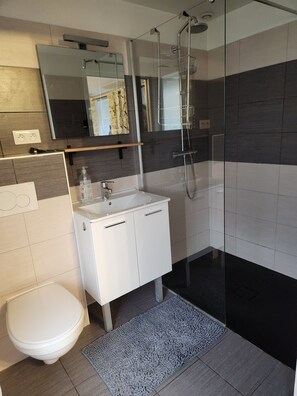 A modern bathroom with a glass-enclosed shower, a white sink, and a toilet. - Maison de Tourisme "basquiat" Domaine de Bachmay (LAVAL)