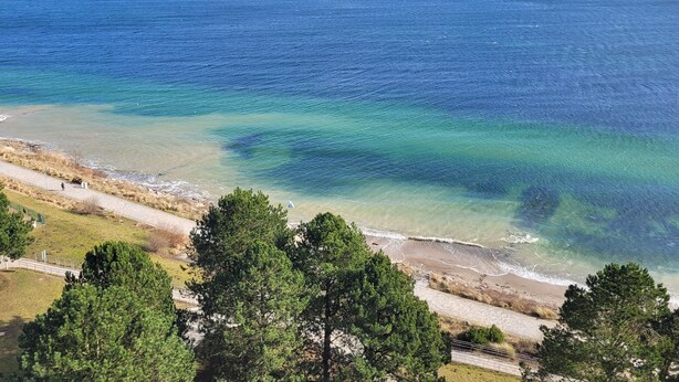 Vista costera con un sendero despejado que lleva a la playa, rodeado de vegetación.