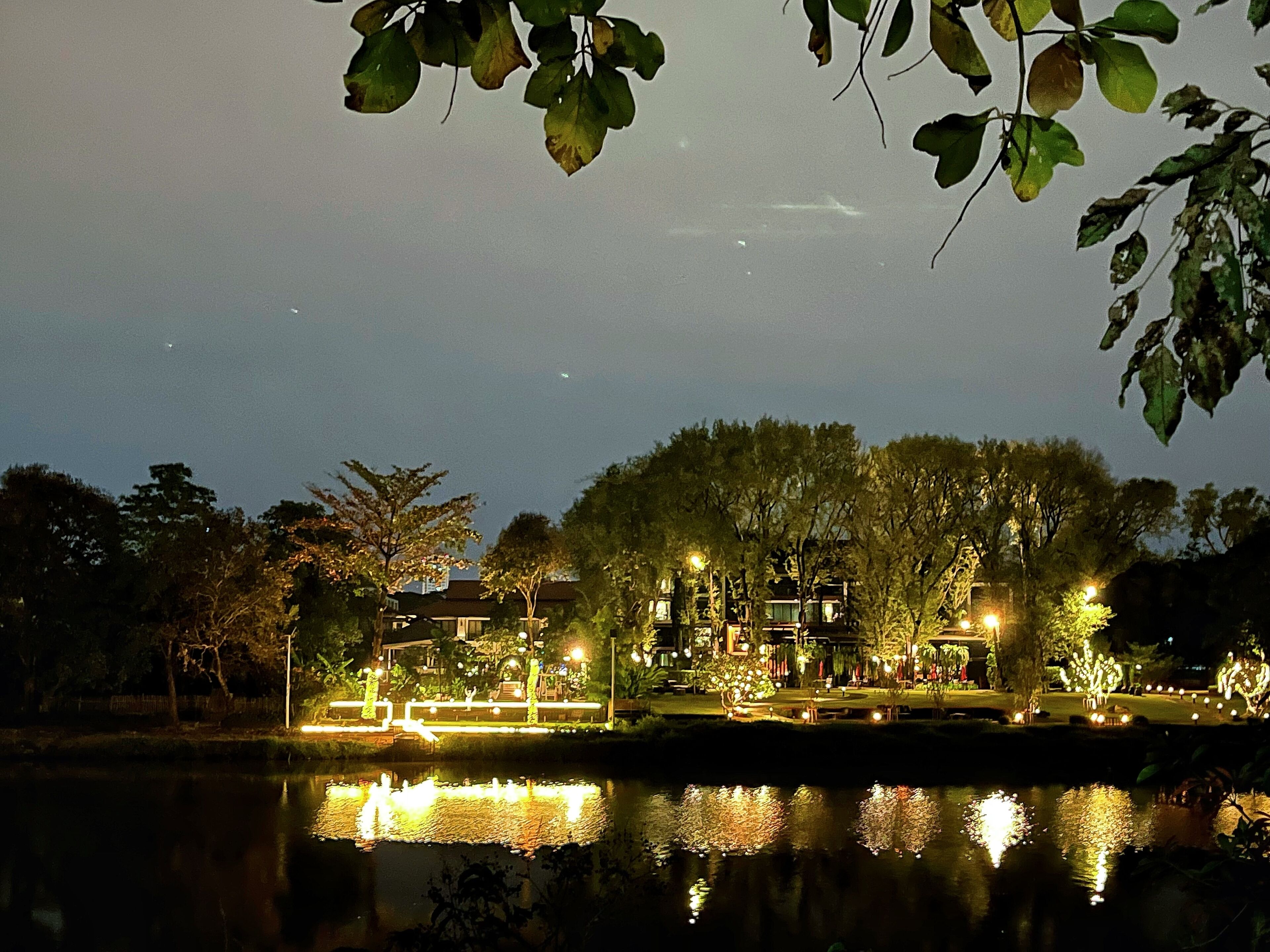 A nighttime view of a park with a pond, trees, and illuminated buildings.