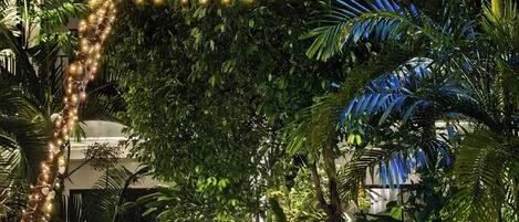 Draps en coton égyptien, literie de qualité supérieure