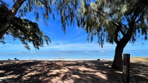 A beach with trees and a clear view of the ocean. - Ô Lagon Accès Direct Plage (LA SALINE LES BAINS)