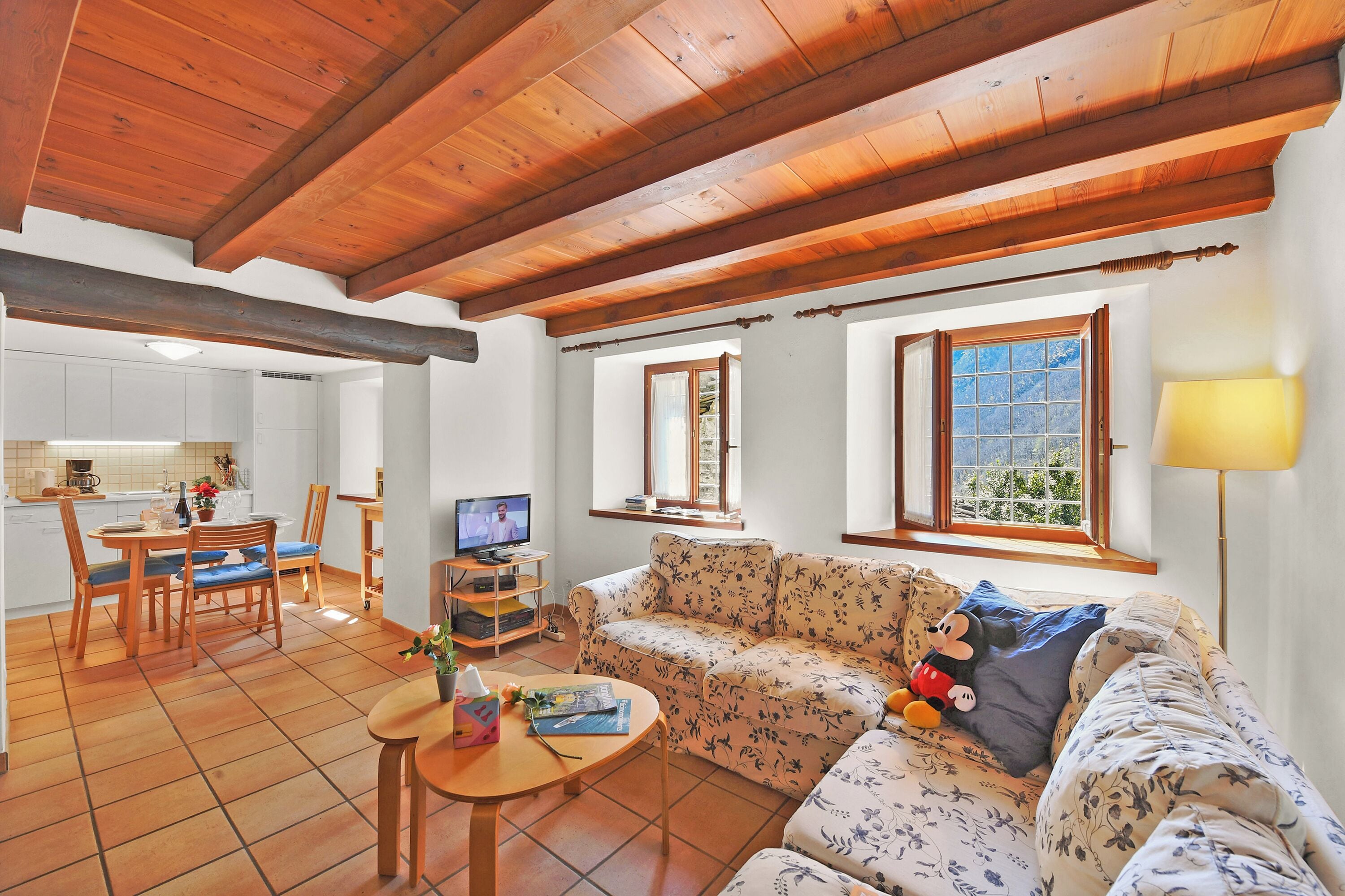 21-Zoll-Flachbildfernseher mit Digitalempfang, Kamin