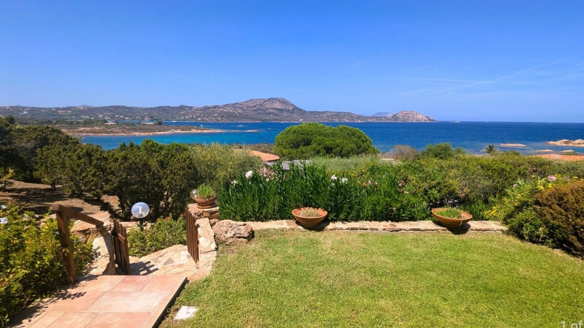 Imagen de perfil del propietario o de la propietaria