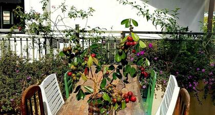 Rosemary Home - Nha Huong Thao brings you to the Dalat life.