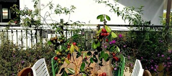 Rosemary Home - Nha Huong Thao brings you to the Dalat life.