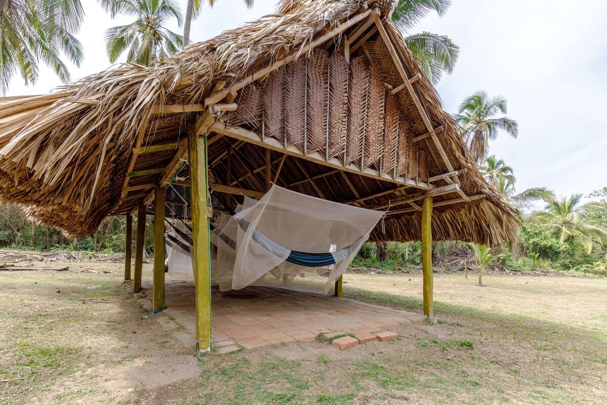 A thatched-roof structure with a hammock hanging underneath.