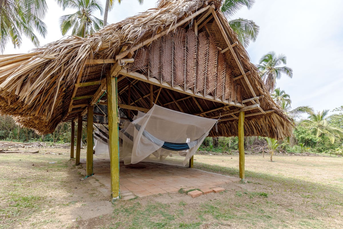 Basic Shared Dormitory